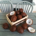 Miniature coconuts, Miniatures, Dollhouse miniatures, Dollhouse, Dolls, Miniature food, Fake food, Dollhouse accessories, Mini food product logo
