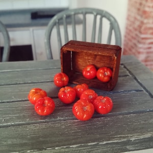 5x Miniatur-Tomaten, Mini-Gemüse, Mini-Essen, Miniaturen, Puppenhaus-Essen, Puppenessen, Essen für Puppenhaus, Polymer-Ton-Essen, Mini-Tomaten