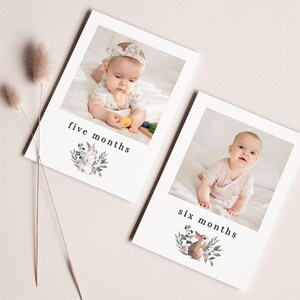 First Year Photo Banner Template, Bunny 1st Birthday, First Birthday, Month By Month, 1st Birthday, 12 Month Photo Banner, Printable Banner
