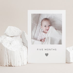 Monthly Photo Banner Template, 12 Month Photo Banner, Month By Month, First Birthday Girl, Heart Photo Banner, Printable Photo Banner