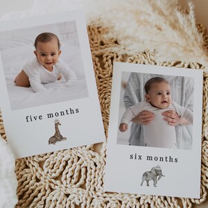 May include: Two white cards with photos of a baby at five and six months old. The cards have a giraffe and an elephant illustration on them, and the text "five months" and "six months" on each card.
