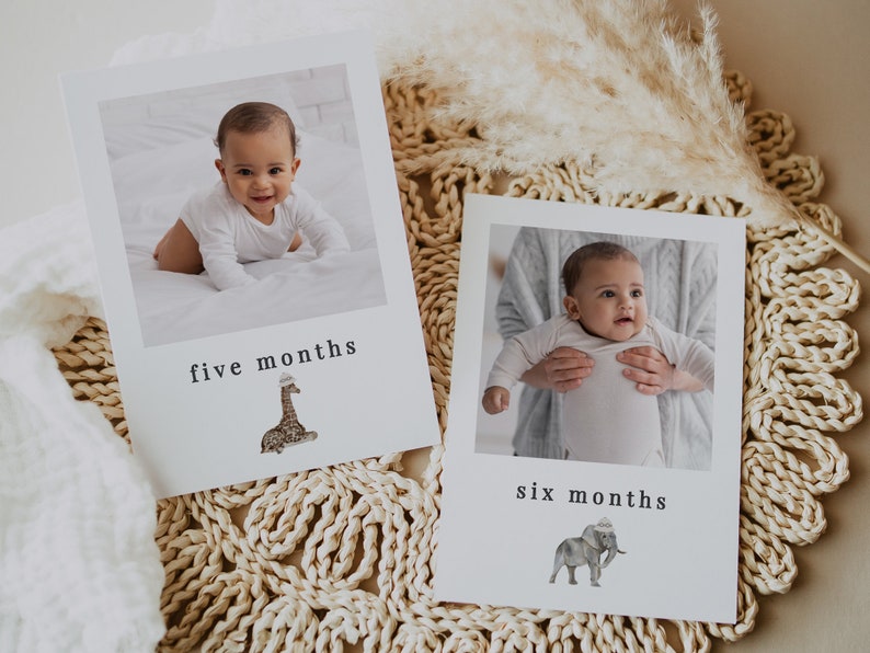 May include: Two white cards with photos of a baby at five and six months old. The cards have a giraffe and an elephant illustration on them, and the text "five months" and "six months" on each card.