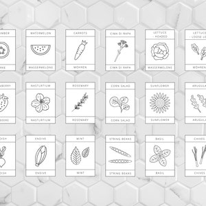 Allotment Label Template, 5x7 cm, A4, Bilingual Labels, Set of 18, Vegetable Growing labels, Editable Garden Labels Set, Printable Labels