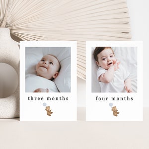 Monthly Photo Banner Template, 1st Birthday Boy, Blue Bear Balloon, Teddy Bears Picnic, 12 Month Photo Banner, Printable Photo Banner