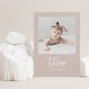 Monthly Photo Banner Template, 1st Birthday Photos, 12 Month Photo Banner, Babys First Year, Blush Photo Banner, Printable Photo Banner