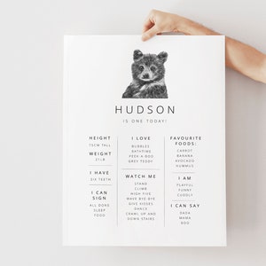 May include: A black and white illustration of a bear cub with the name "HUDSON" and the text "IS ONE TODAY!"  The illustration is surrounded by a chart with information about the bear cub, including height, weight, favorite foods, and things the cub can do.