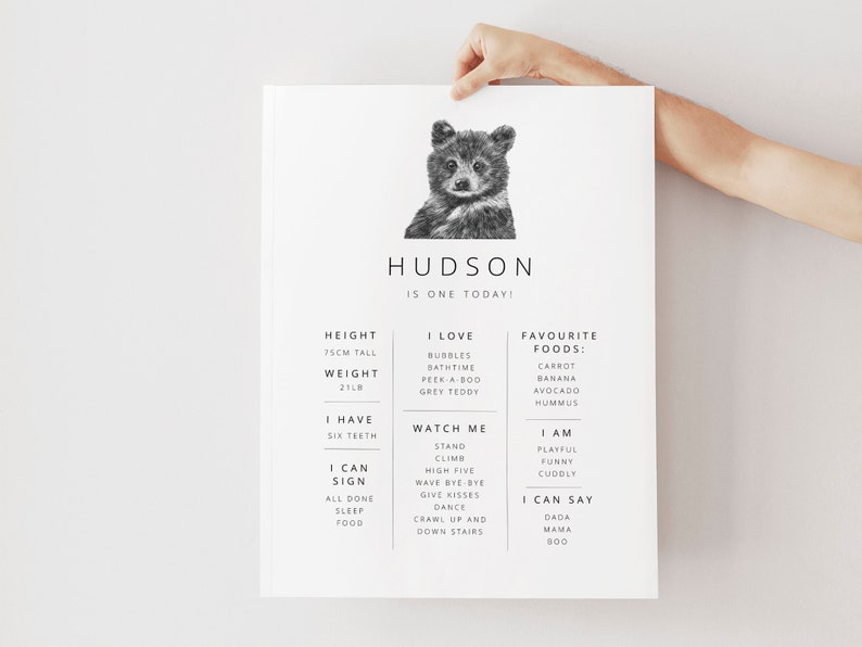 May include: A black and white illustration of a bear cub with the name "HUDSON" and the text "IS ONE TODAY!"  The illustration is surrounded by a chart with information about the bear cub, including height, weight, favorite foods, and things the cub can do.