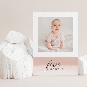 Monthly Photo Banner Template, 1st Birthday Photos, Month By Month, 1st Birthday Girl, Blush Photo Banner, Printable Photo Banner