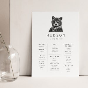 May include: A black and white illustration of a bear cub with the text "Hudson is one today!"  The illustration is surrounded by a list of facts about the bear cub, including height, weight, favorite foods, and things the cub can do.