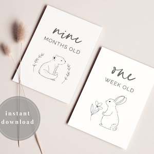 Cartes d'étape de bébé | Ensemble de 27 cartes imprimables | Animaux des bois