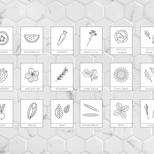 Plant Markers Template, 2x2.5 inch, Set of 18, Vegetable Growing labels, Modern Allotment Label, Editable Garden Label Set, Printable Labels