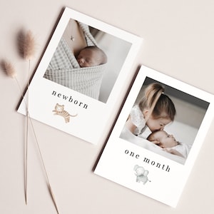 Monthly Photo Banner Template, Safari First Birthday, Month By Month, 12 Month Photo Banner, Babys First Year, Printable Photo Banner