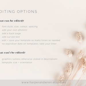Peut inclure: Un fond blanc avec du texte qui dit "Options d'&eacute;dition" et qui liste ce qui peut et ne peut pas &ecirc;tre &eacute;dit&eacute; dans un mod&egrave;le num&eacute;rique. Le texte est en noir et le fond est blanc. L'image comprend &eacute;galement un bouquet de fleurs s&eacute;ch&eacute;es beiges dans le coin inf&eacute;rieur droit.