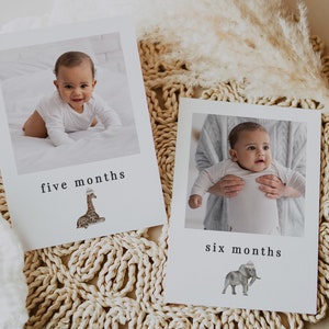 Safari Monthly Photos Template, Safari Animals Hats, Jungle Animals Photo Banner, 1st Birthday, Monthly photo Banner, Printable Photo Banner