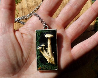 Echt bewaarde paddenstoelencluster, mos, stenen Magic Forest Statement-hanger
