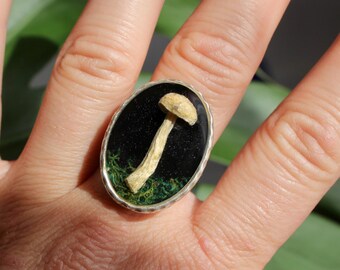 Verstelbare zilveren statement ring echte bewaarde paddenstoel en mos