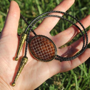 Real Python Snake Shed Skin Green Genuine Leather Bolo Tie