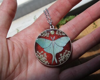 Hanger Luna Moth & Real Pressed Lace Flowers Burnt Orange