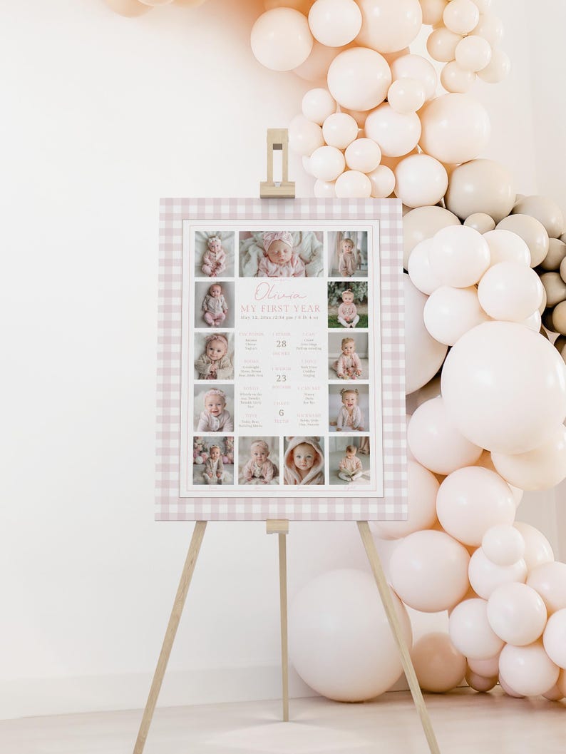 Pinkstats Signage Pink Gingham Birthday Milestone Sign – First Year Stats Board for Girl ...
