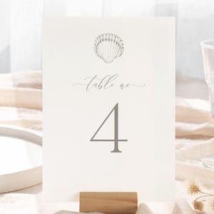 May include: A rectangular white table number card featuring a gray line drawing of a seashell at the top, the text "table no" in a cursive script, and the large gray number "4" centered below, held upright by a small wooden block stand.