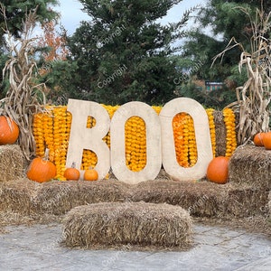 Fall/Halloween Digital Backdrop/Photography