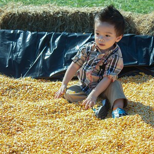 May include: A young child sits in a pile of yellow corn kernels, wearing a plaid shirt and khaki trousers. The child is surrounded by the corn, with a black tarp and hay bales in the background.