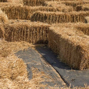 May include: A daytime shot of a hay bale maze. The maze is constructed from numerous rectangular hay bales, arranged in rows. The hay is a light brown colour, and the ground is covered with a black material.