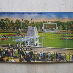 St. Petersburg, Florida. Die Hundespur-Die Sunshine City. 1947