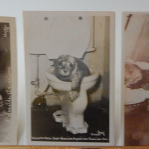 Kust aquarium-kust, Oregon. Drie RPPC's