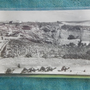 Jeruzalem/Egypte RPPC-kamelen die door de woestijn reizen.