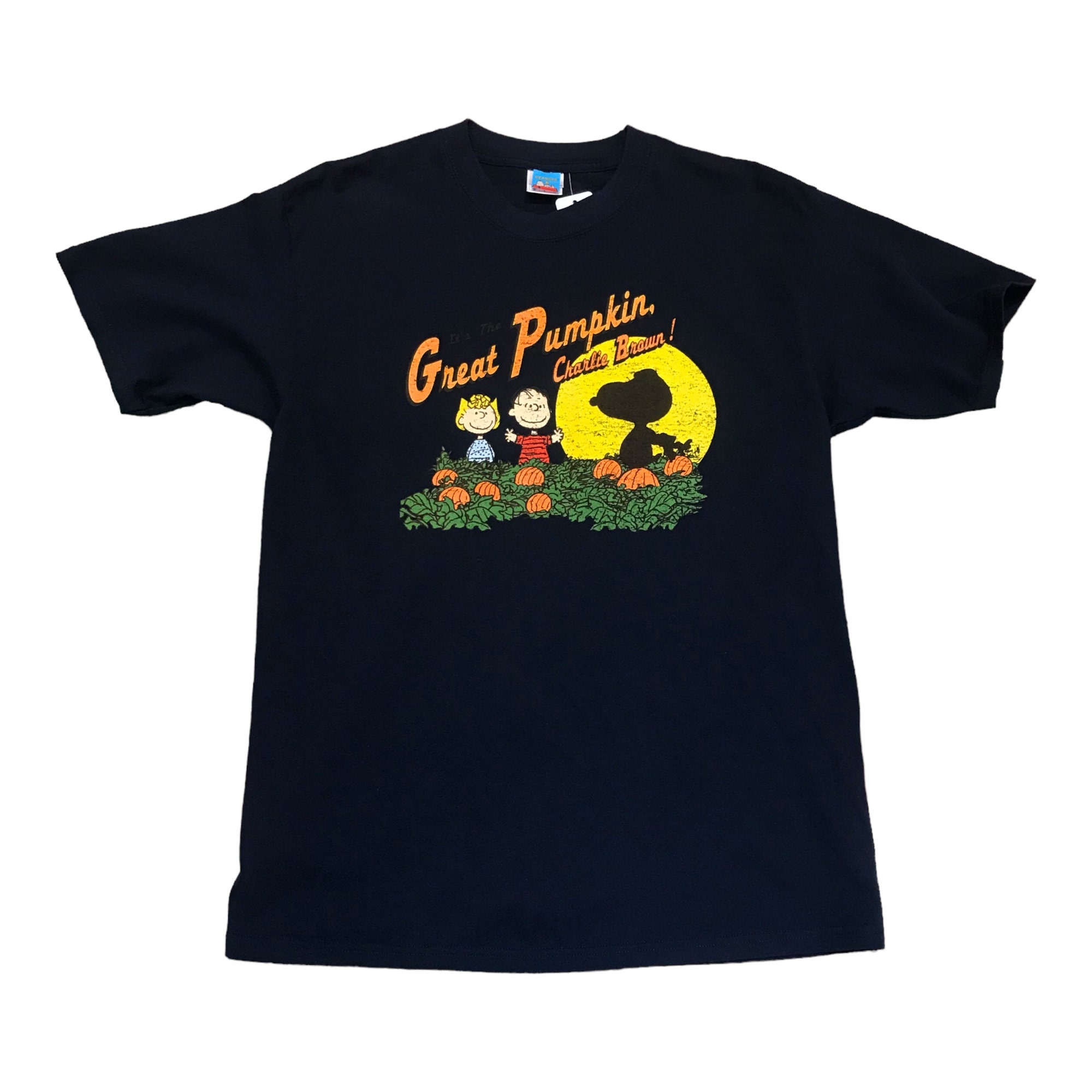 Discover 1990s/2000s Peanuts Charlie Brown The Great Pumpkin T-Shirt