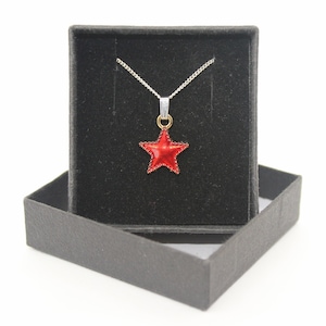 Puede incluir: Un collar con un colgante de estrella roja en una cadena plateada en una caja de joyería de terciopelo negro.