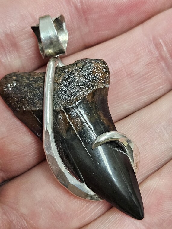 1 3/4" Hand made 100% Authentic Fossil Extinct Gr… - image 2