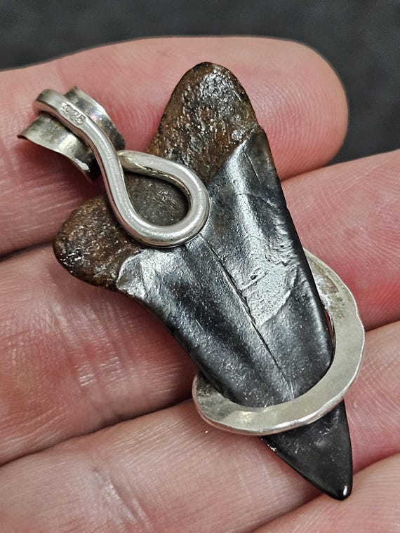 1 3/4" Hand made 100% Authentic Fossil Extinct Gr… - image 3