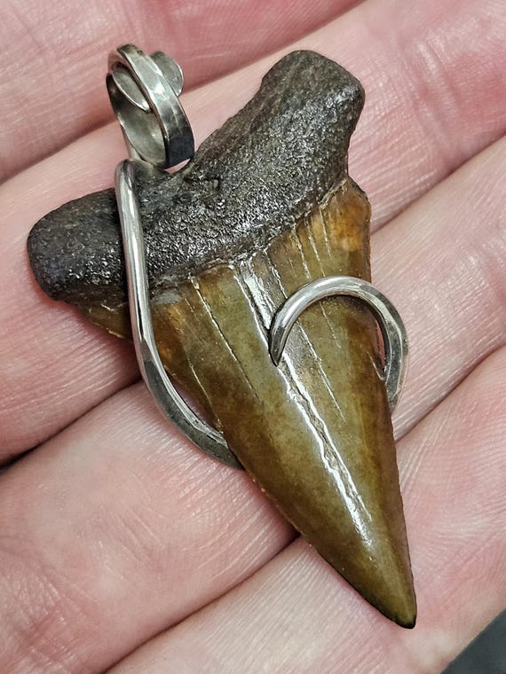 1 7/8" Hand made 100% Authentic Fossil Extinct Gr… - image 2