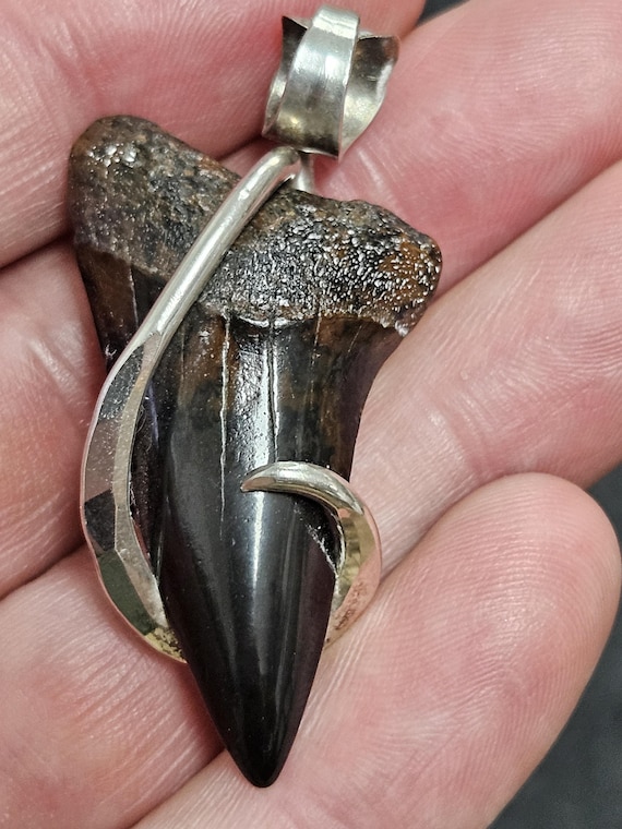 1 3/4" Hand made 100% Authentic Fossil Extinct Gr… - image 1