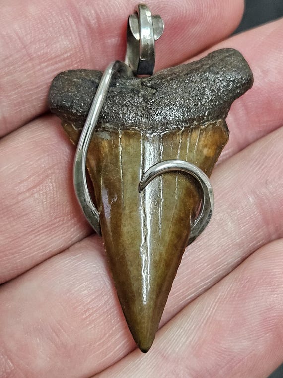 1 7/8" Hand made 100% Authentic Fossil Extinct Gr… - image 1