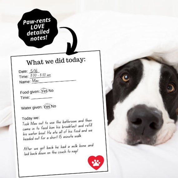 Daily Pet Sitter Visit Form Pet Sitting PDF Printables Pet