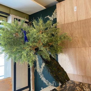 Artificial Fern Tree: Green Foliage, Natural Wood Trunk (2.4m Tall)