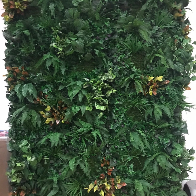 Foliage Wall Art - Etsy