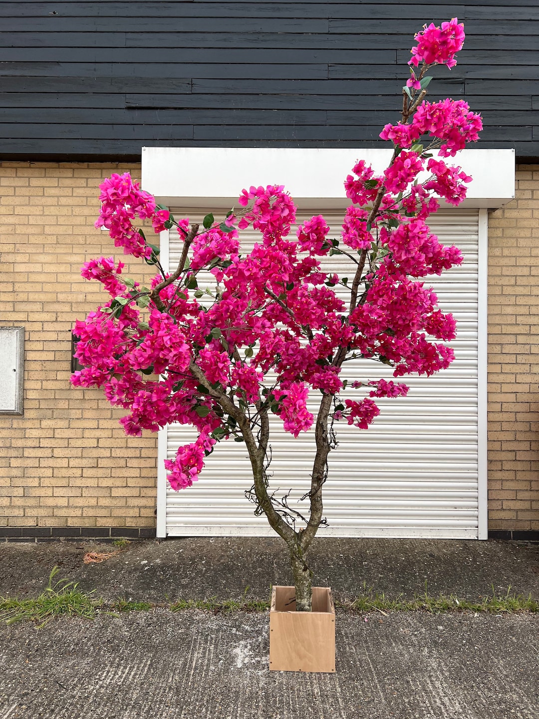 Bougainvillea Tree, Hot Pink Tree, Faux Indoor Tree, Artificial Flower