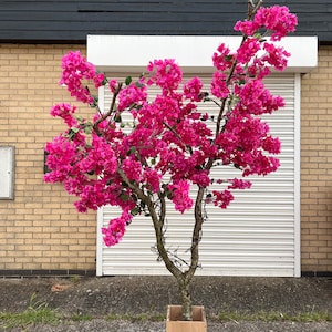 Faux Hot Pink Bougainvillea Tree: Silk Flower Office Decor (2.2m)