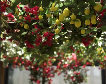 Lemon Flower Ceiling - Ideal for Mediterranean restaurant decor - Artificial Flower Ceiling