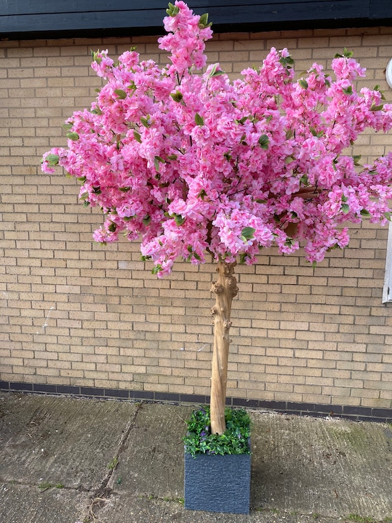 Finto albero di ciliegio, albero artificiale di ciliegio, albero di  ciliegio rosa, ciliegio rosa, albero di ciliegio interno -  Italia