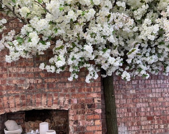 White Cherry blossom tree, Large white blossom tree, Restaurant cherry blossom, Indoor white flower tree, white blossom tree