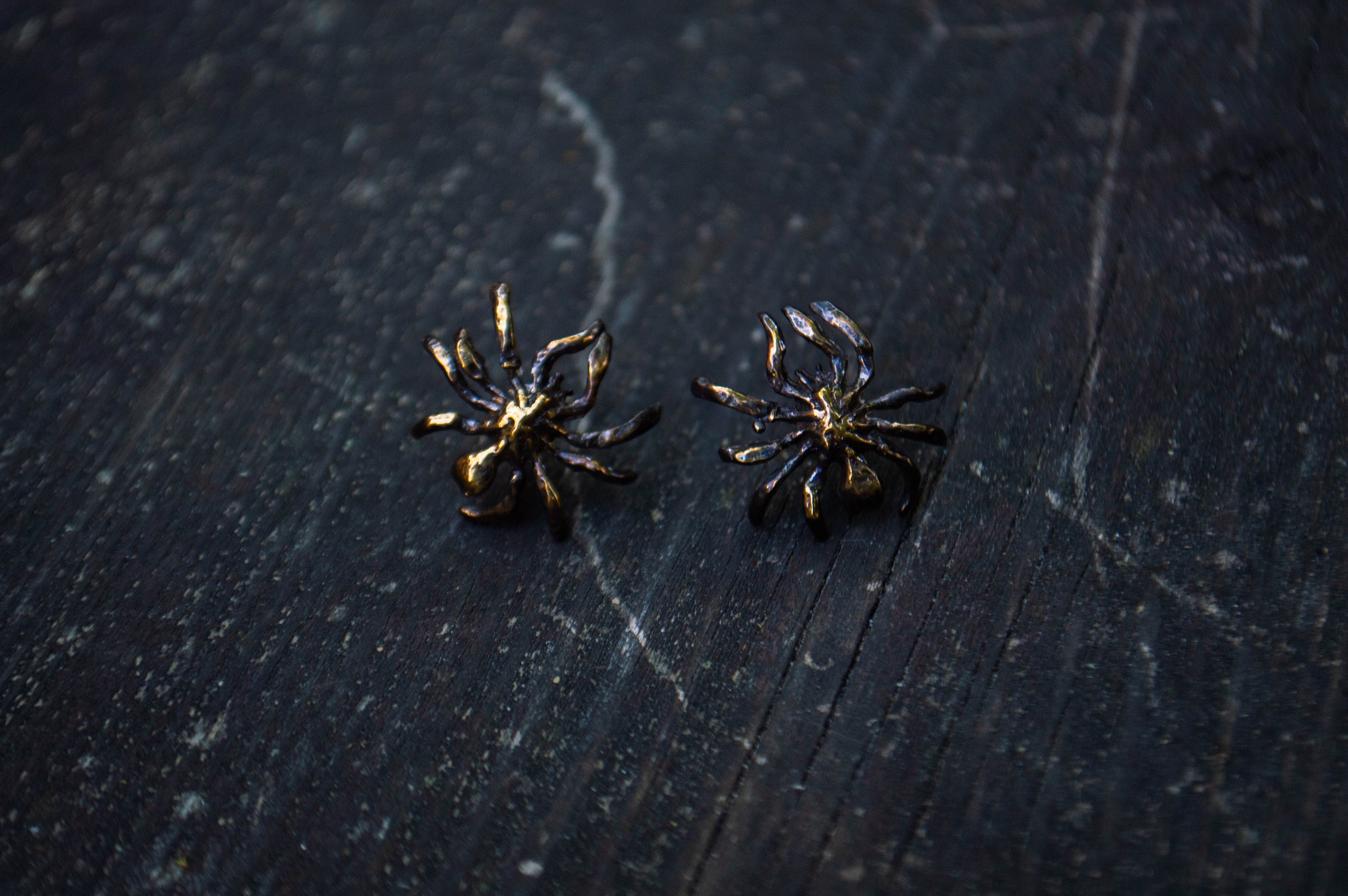 Orecchini ragno in argento 925 STG onice nero - Italia