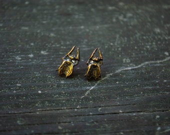 Brass Fly Earrings, Lost Wax Casting, Silver Closure