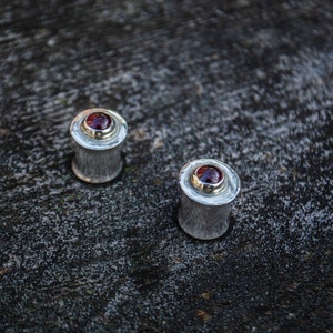 Silver ear tunnels