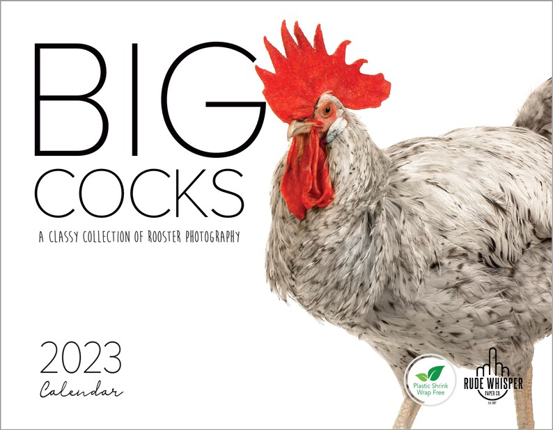 Big Cocks 2023 Wall Calendar  Een stijlvolle verzameling afbeelding 1