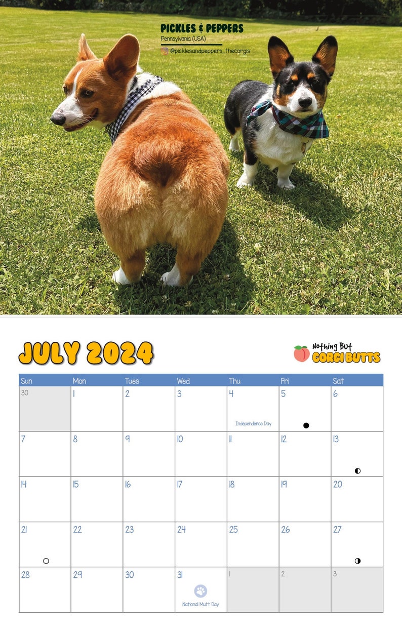 Corgi Butts 2024 Funny Dog Calendar Perfect Gift for Dog Lovers, White Elephant and Secret Santa image 5